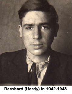 Dov Brashinsky